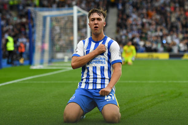 你要我帮你 你要我帮你